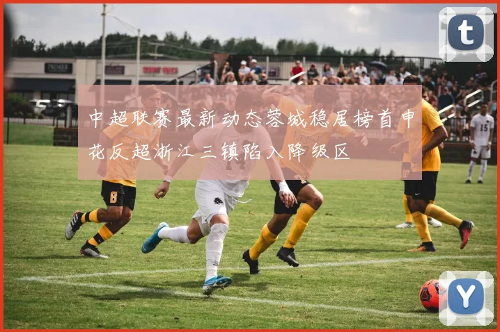 中超联赛最新动态蓉城稳居榜首申花反超浙江三镇陷入降级区